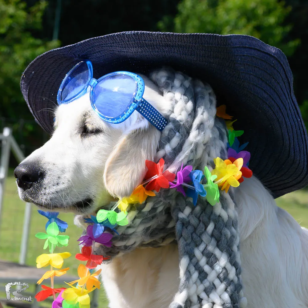 Een golden retriever met hoed, zonnebril en bloemenkrans