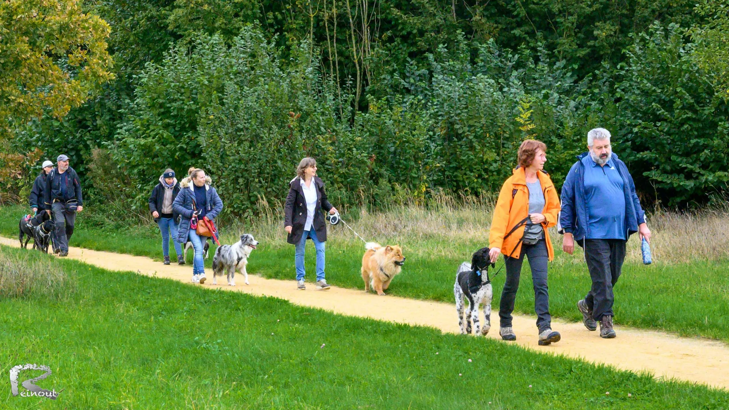 Herfstwandeling