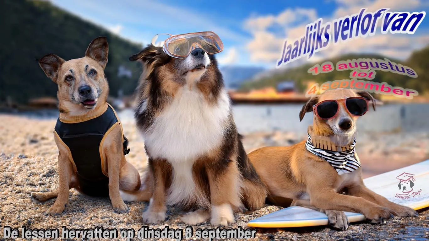 Drie honden met een zonnebril op het strand, met de data van het jaarlijks verlof