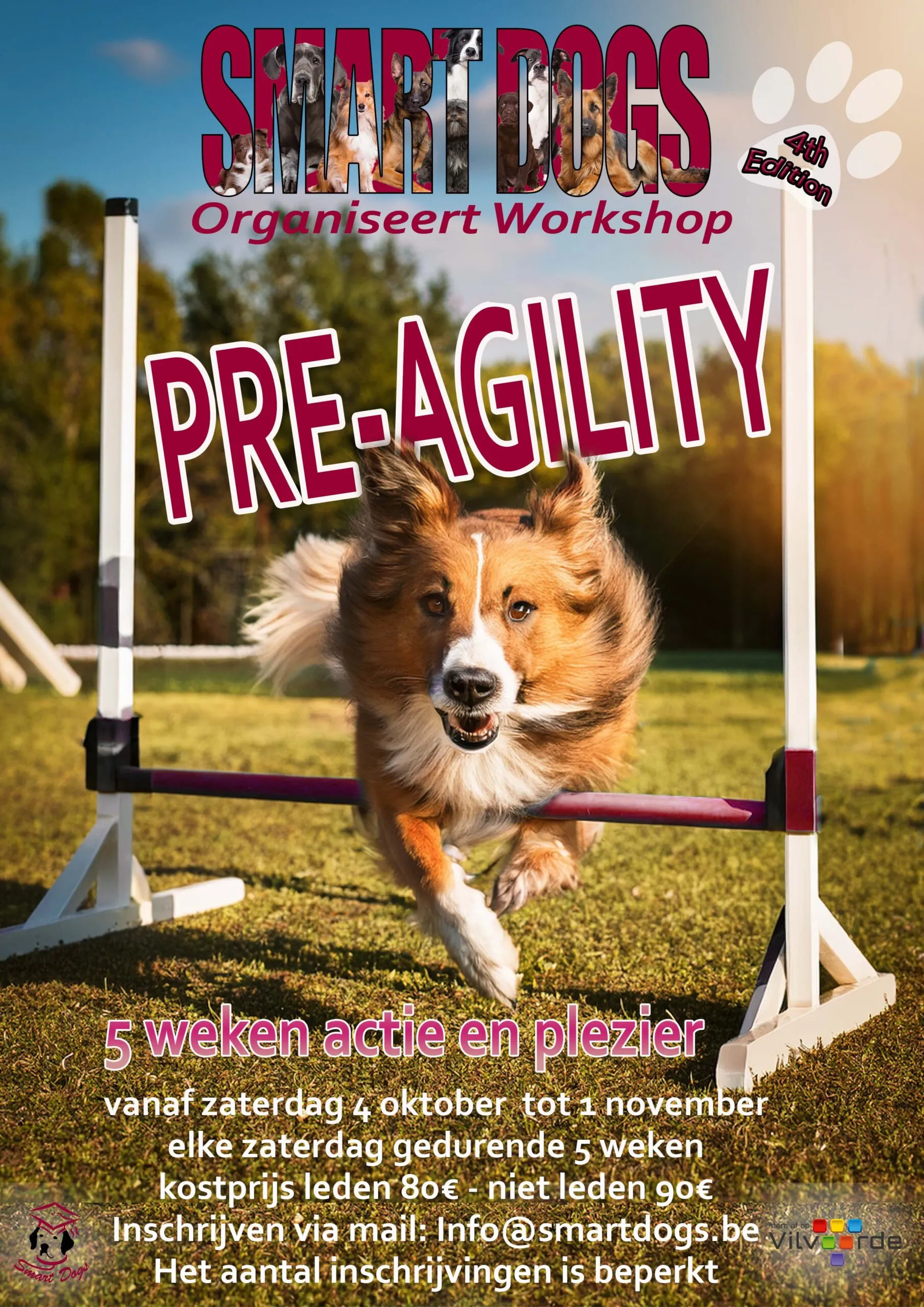 Affiche van de pre-agility-workshop met een springende hond