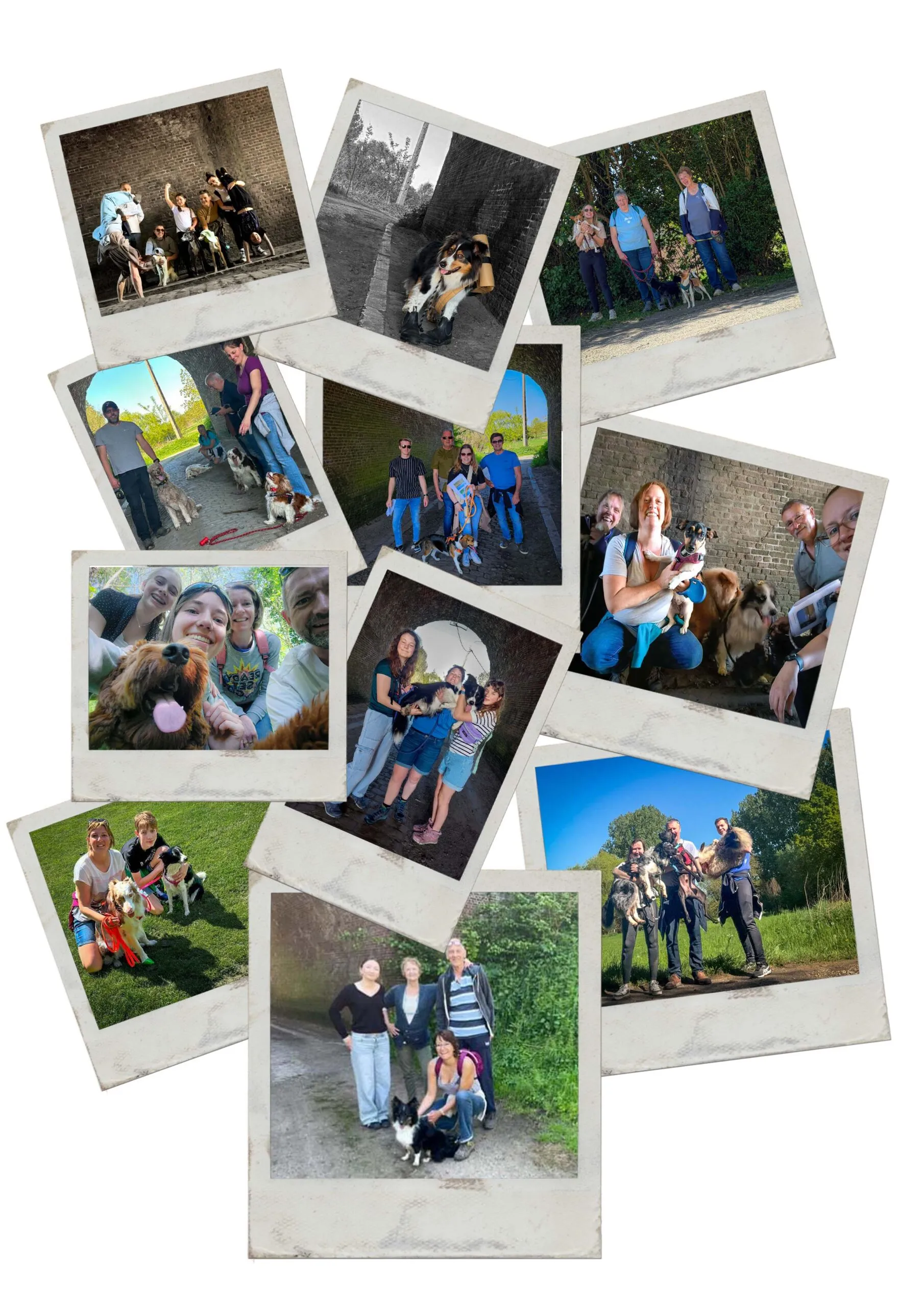 Collage van de groepsfoto’s van de snuffelwandeling